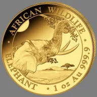 Somalia Elephant