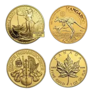 1 oz Gold Coin