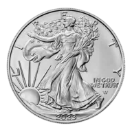 1 oz American Eagle Silver Coin 2024