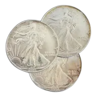 Silver American Eagle (Random Year, Impaired Condition)