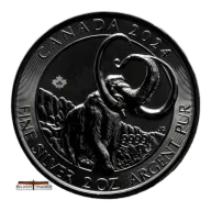 2024 Canadian Woolly Mammoth 2oz Silver Bullion Coin