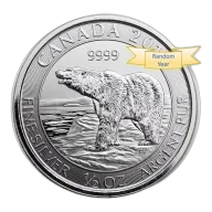 1/2 oz Canadian Polar Bear Silver Coin .9999
