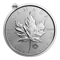 1 oz Canadian Maple Leaf Silver Coin (Random year)