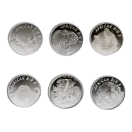 1oz Fine Silver Medallion - African Big 5