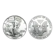1989 American Eagle Silver 1 Oz Bullion Coin in Capsule