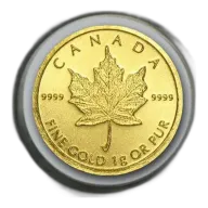 1 gram Gold Coin/Bar