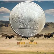 1 oz American Buffalo Silver Round