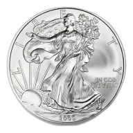 2009 1 oz Walking Liberty American Eagle Silver round