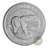 1/2 oz Silver Coin (Varied Condition, Any Mint)
