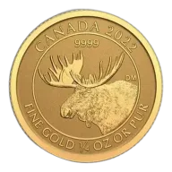 2022 1/4 Oz Canadian Moose Gold Coin - BU