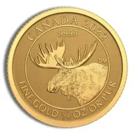 Canadian Moose
