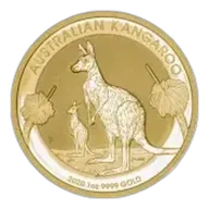 2020 Gold 1 oz Kangaroo Nugget $100 Perth Mint Bullion Coin