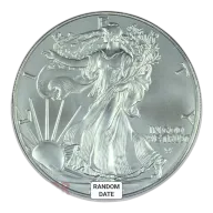 1 oz American Silver Eagle Silver Coin