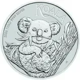 Perth Koala