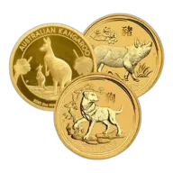 2 oz Gold Coin
