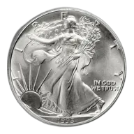 1993 Silver American Eagle - BU