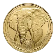 South African 1oz 2022 Gold Elephant