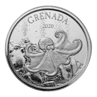 2020 Silver EC8 Grenada Octopus