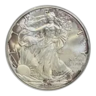 1 oz American Silver Eagle Silver Coin