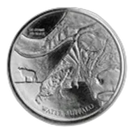 2017 Democratic Republic of Congo 100 gram Silver Water Buffalo