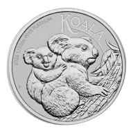 2023 1/10 oz Australian Platinum Koala Coin