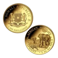 2026 Somalian Elephant 1 Ounce Gold Coin