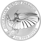 Bird of Paradise