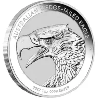 Wedge-Tailed Eagle