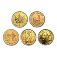 1 oz Gold Coin