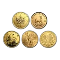 1/2 oz Gold Coin - Random Mint