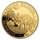Somalia Elephant