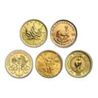 1/4 oz Gold Coin - Random Mint