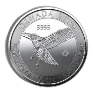2020 1/2 Oz Canadian Red Tail Hawk Silver Coin - BU
