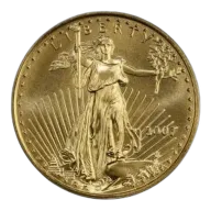 2007 1/2 oz American Gold Eagle Coin
