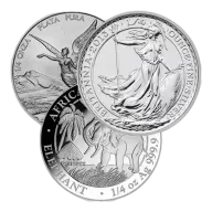 1/4 oz Silver Coin (Random Year, Varied Condition)