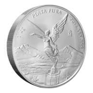 1 Kilo Silver Coin (Varied Condition, Varied Mint)