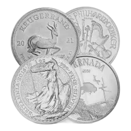 1 oz Silver Coin (Varied Condition, Any Mint)