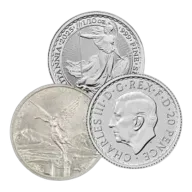 1/10 oz Silver Coin