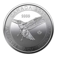 2021 1/2 oz Red Tailed Hawk Silver Coin - Birds of Prey Series