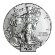 1 oz American Silver Eagle