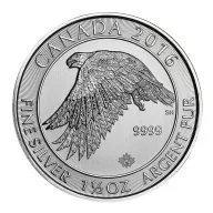 White Falcon