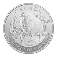 2013 1 oz Canadian Silver Wood Bison Coin Wildlife Series