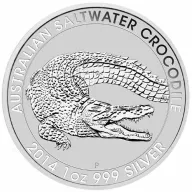 Saltwater Crocodile