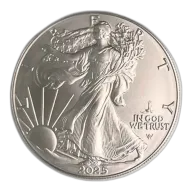1 oz American Silver Eagle Silver Coin