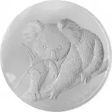 Perth Koala