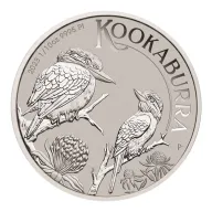 Kookaburra