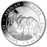 Somalia Elephant