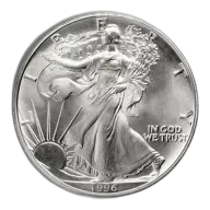1 oz American Silver Eagle Silver Coin