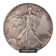 1 oz American Silver Eagles in Cull Condition - Random Year