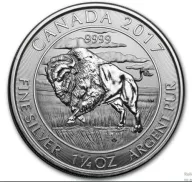 Bison